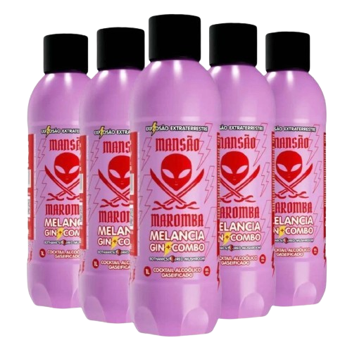 Gin + Combo Melancia 1L (6 unidades)